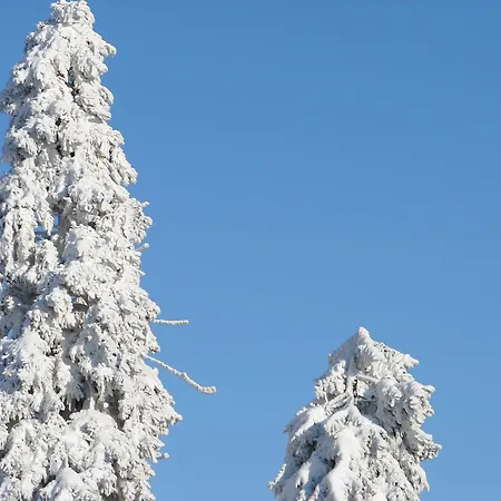 Ohragrund Apartamento Oberhof (Thuringia)